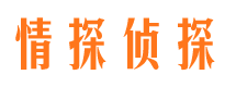 成武外遇调查取证